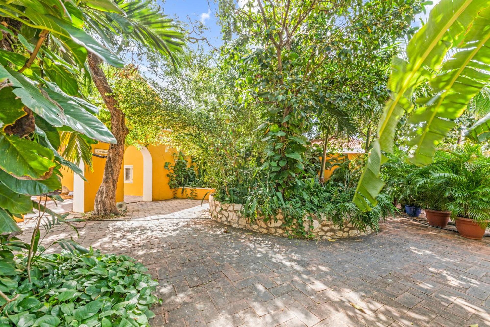 Curacao Gardens Apartment Willemstad Ngoại thất bức ảnh