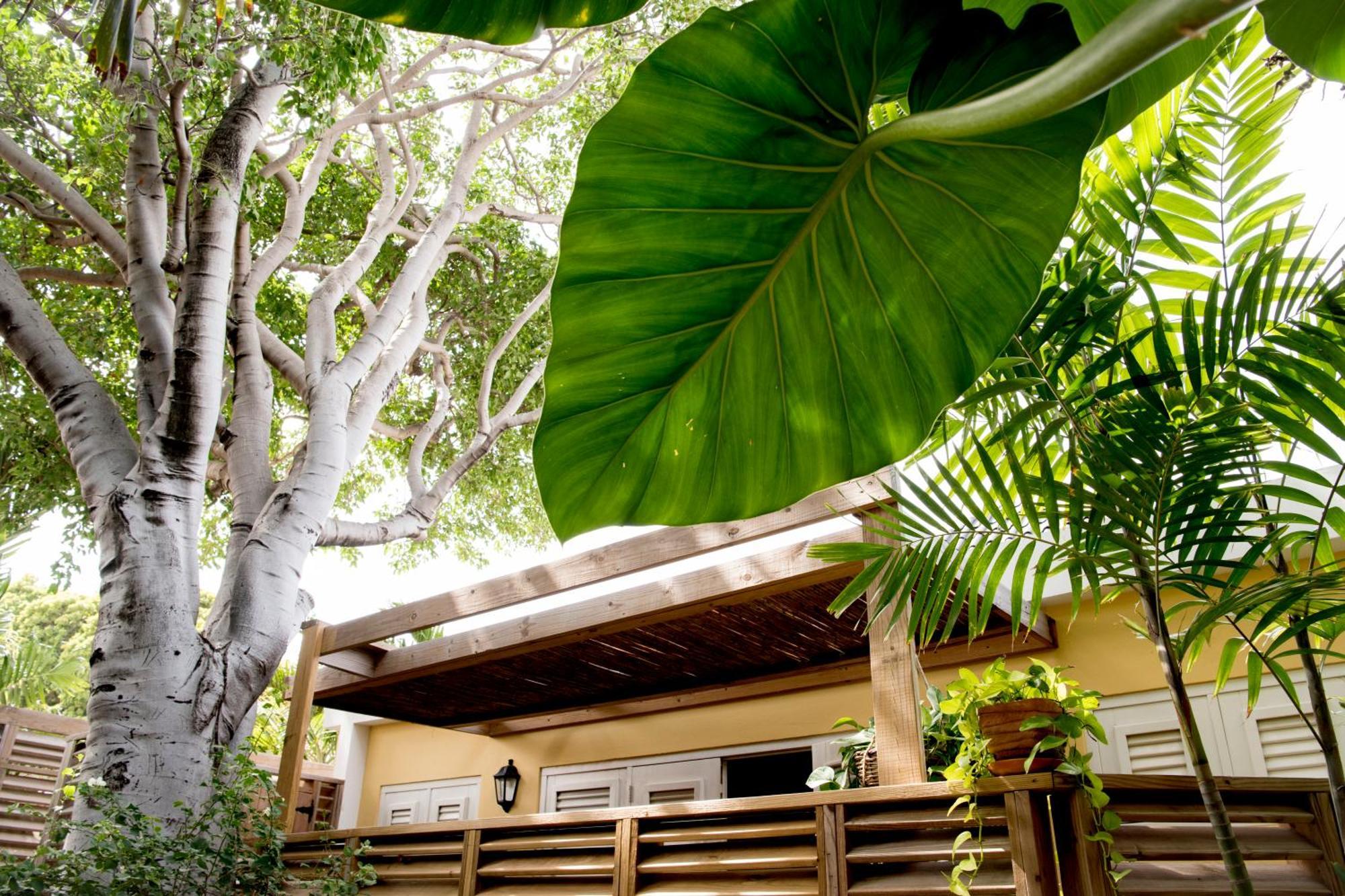 Curacao Gardens Apartment Willemstad Phòng bức ảnh